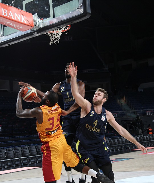 维尼修斯 维尼修斯